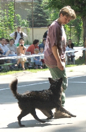 agi6.jpg