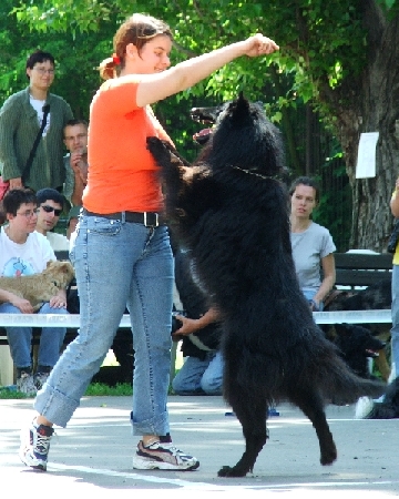 be3.jpg