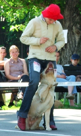 blon3.jpg