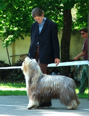 n1.jpg