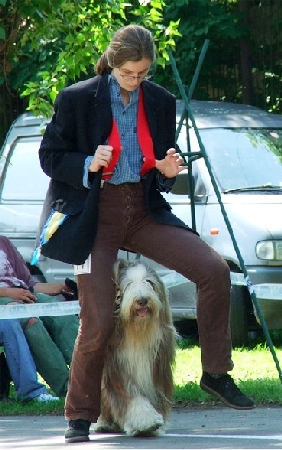n3.jpg