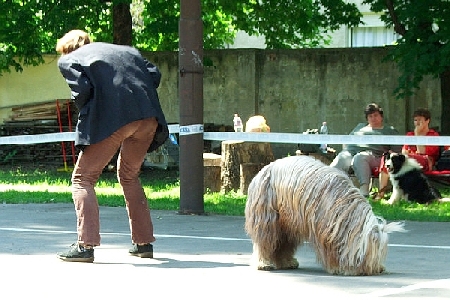 n4.jpg