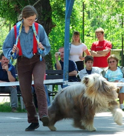 n5.jpg