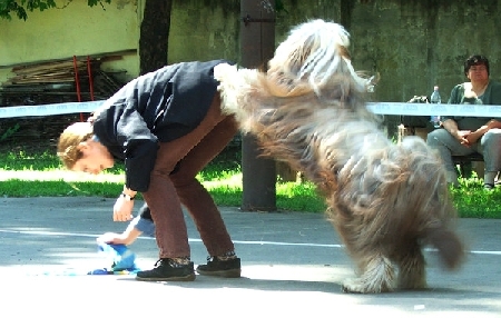 n8.jpg