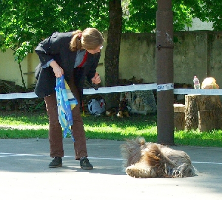 n9.jpg