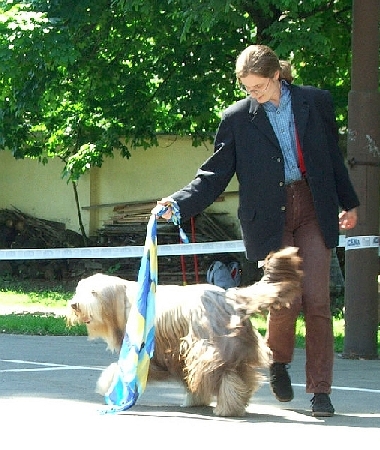 n91.jpg