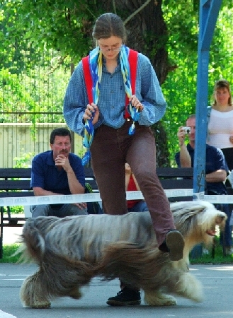 n92.jpg