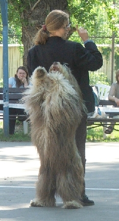 n94.jpg