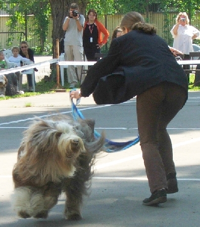 n95.jpg