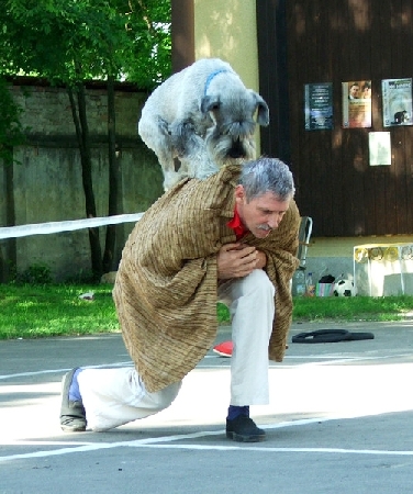 or2.jpg