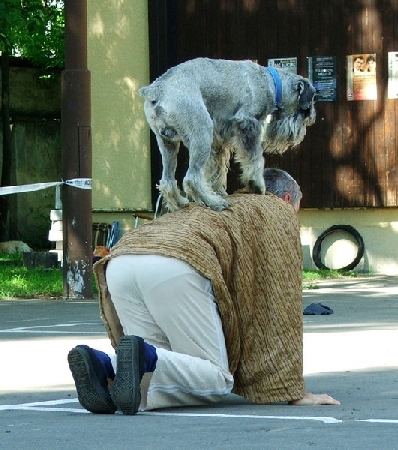 or3.jpg