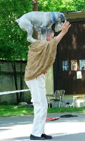 or4.jpg