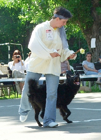 piros4.jpg