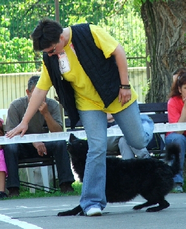 piros7.jpg