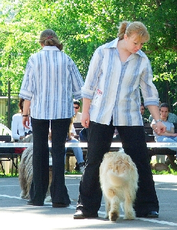 wm1.jpg