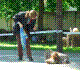 n9.jpg