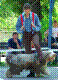 n92.jpg