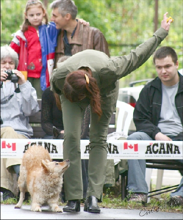 Csenkesz1.jpg