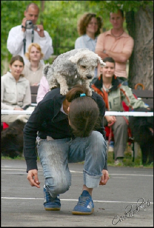 Vacak2.jpg