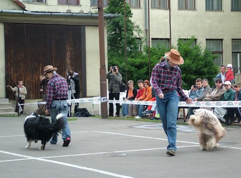 banditak2.jpg