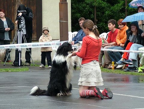 kata2.jpg