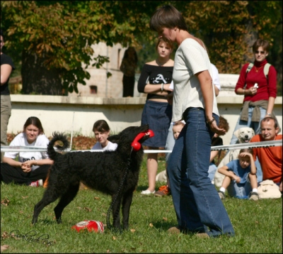 06-09-23_DD-Hanga_Piroska-Dart_05.jpg