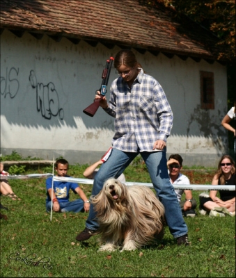 06-09-23_DD-Karlyik_Nora-Sherlock_02.jpg