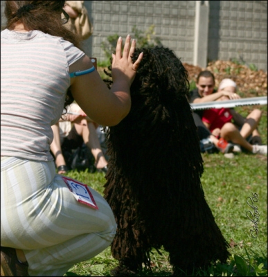 06-09-23_DD-Kenyeres_Anna-Ordog_09.jpg