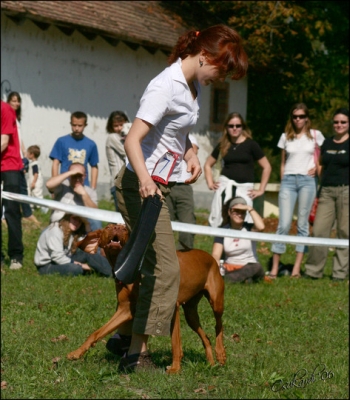 06-09-23_DD-Kunvari_Timea-Blanka_06.jpg