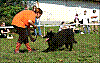 06-09-23_DD-Balanyi_Erika-Murphy_11.jpg