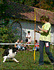 06-09-23_DD-Fazekas_Emese-Nidhogg_06.jpg