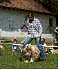 06-09-23_DD-Karlyik_Nora-Sherlock_02.jpg