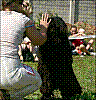 06-09-23_DD-Kenyeres_Anna-Ordog_09.jpg