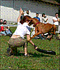 06-09-23_DD-Kunvari_Timea-Blanka_05.jpg