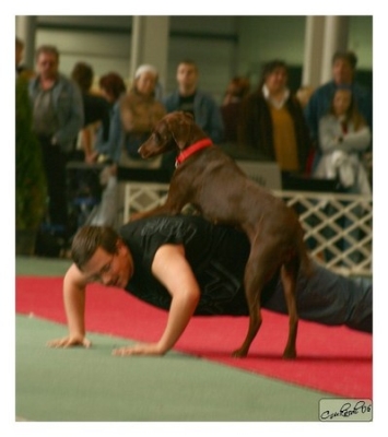 02istvan03.jpg