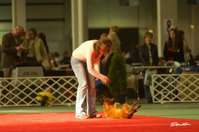 09karolina02.jpg