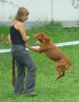 av2.jpg
