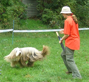 kn1.jpg