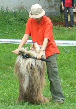 kn2.jpg
