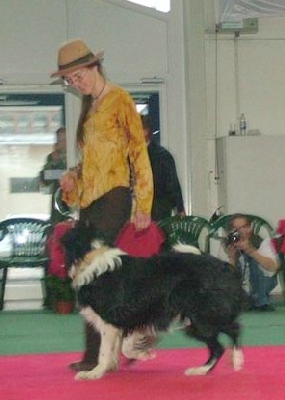 k04.jpg