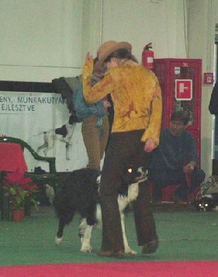 k10.jpg