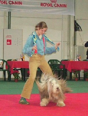 n1.jpg