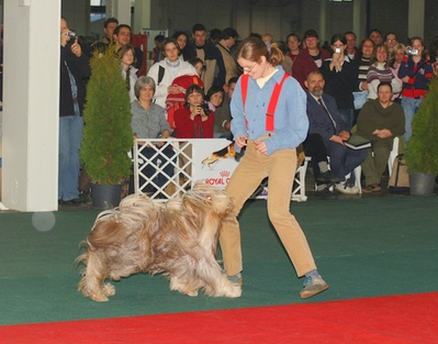 n2.jpg