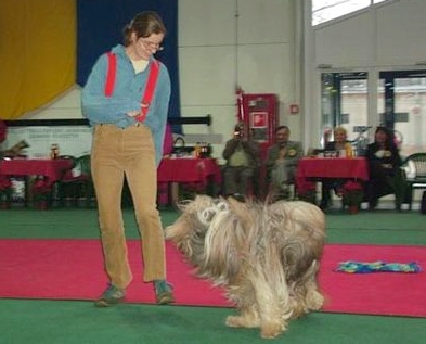 n99.jpg