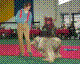 n99.jpg
