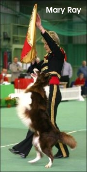 Dog Dancing Hungary
