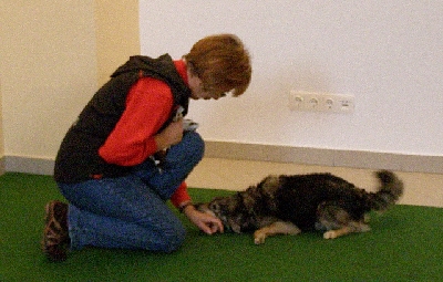 hu013.jpg