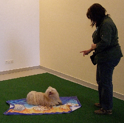 hu015.jpg