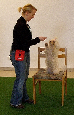 hu024.jpg