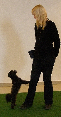 hu027.jpg